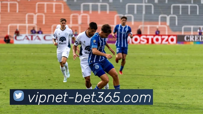 bet365平台生态图